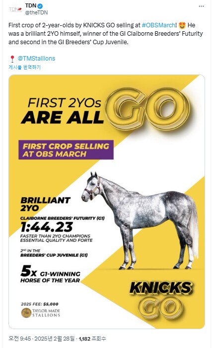 마사회의 초대박 가챠 성공작인 닉스고의 최신 근황._1.png