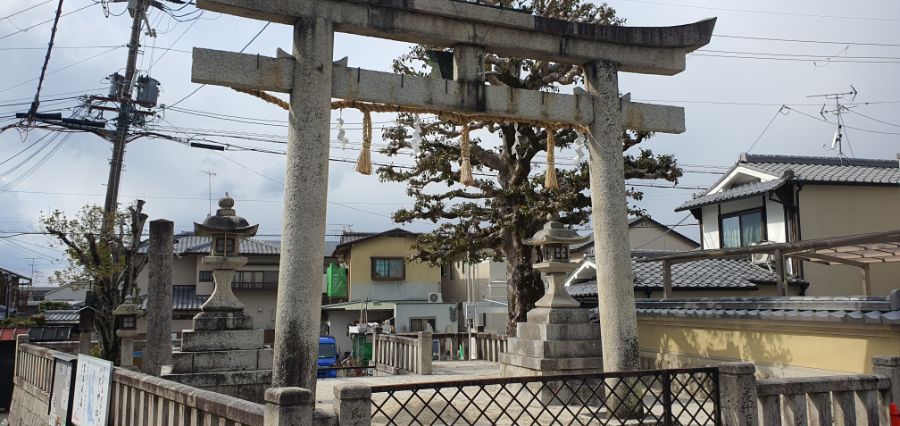 오사카 여행 4번째- 교토 깊숙히? 탐방~ 마지막ㅠ -스압-_86.jpg