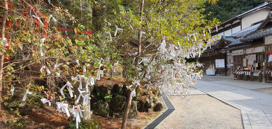 오사카 여행 4번째- 교토 깊숙히? 탐방~ 마지막ㅠ -스압-_88.jpg