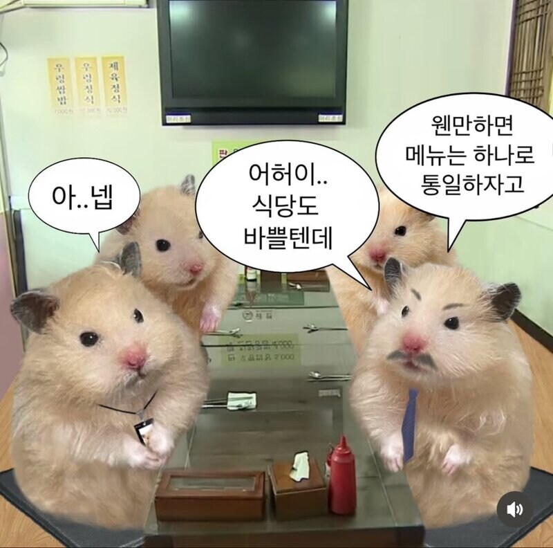 요즘 MZ들 통일하는법.jpg_2.jpg