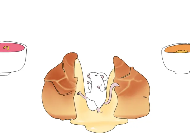 서울에서 자주 목격된다는 쥐_2.webp