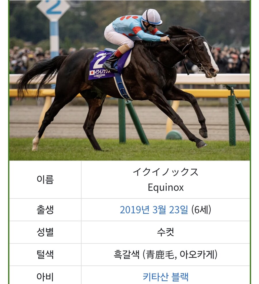 말딸 야짤이 금지된 이유_4.jpg