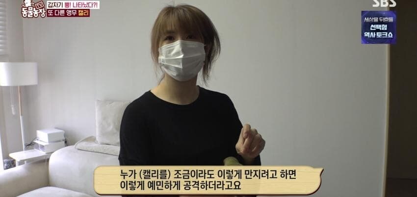 동물농장에 출연한 학계에 보고될 만한 초희귀 사례급 앵무새_18.jpg