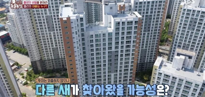 동물농장에 출연한 학계에 보고될 만한 초희귀 사례급 앵무새_37.jpg