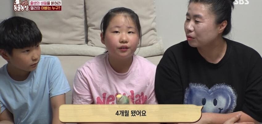 동물농장에 출연한 학계에 보고될 만한 초희귀 사례급 앵무새_42.jpg