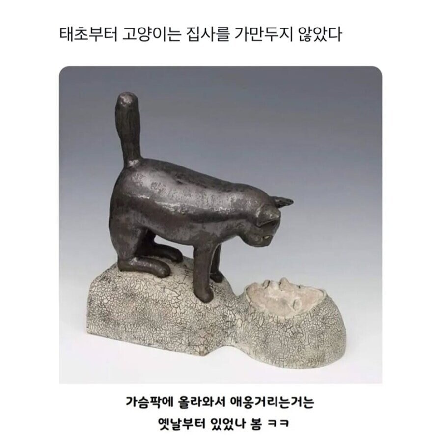 예전부터 고양이는 고양이였다.jpg_1.jpg