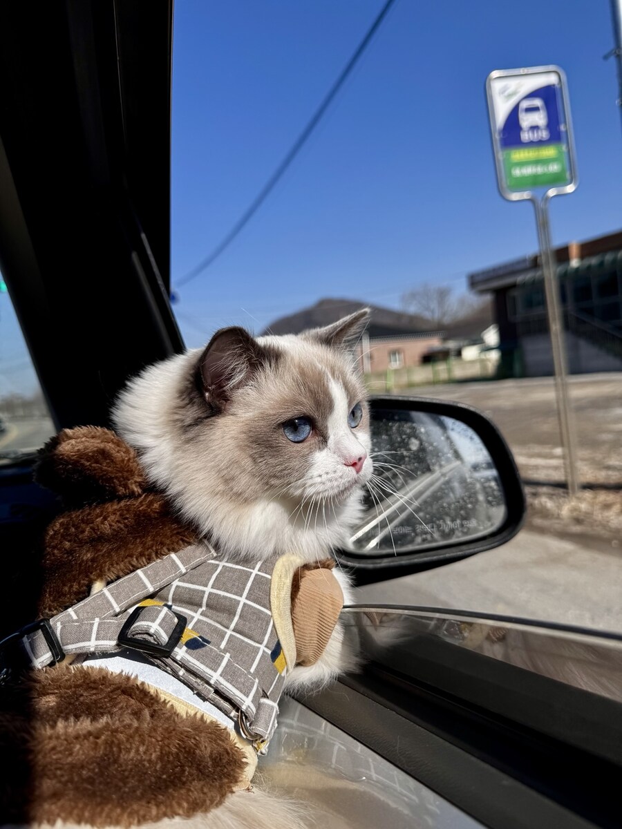 록희의 외출!_4.jpg