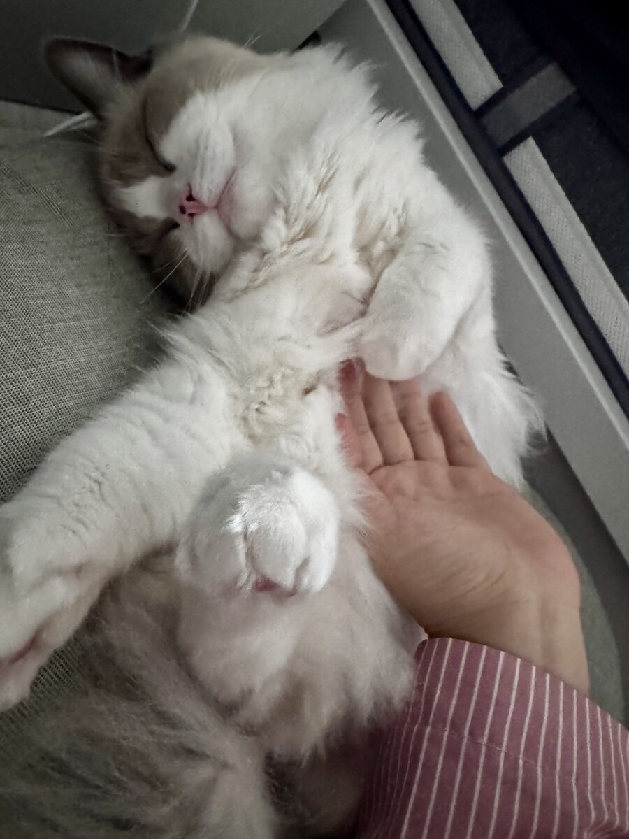 록희의 외출!_5.jpg