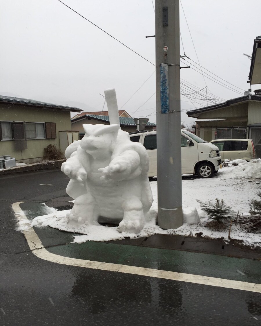 거북왕 (홋카이도의 모습)_1.jpg