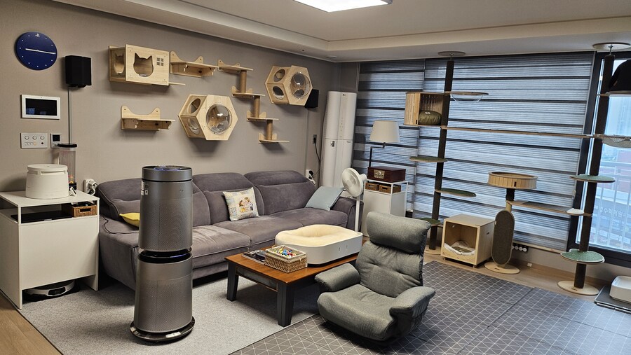 신입 초보집사 부부가 인사를 올립니다~ ( 아깽이 , 러시안블루 )_1.jpg