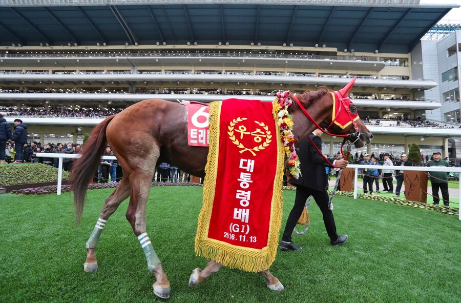 [경마] 한국 경주마들의 두바이 성적_2.jpg