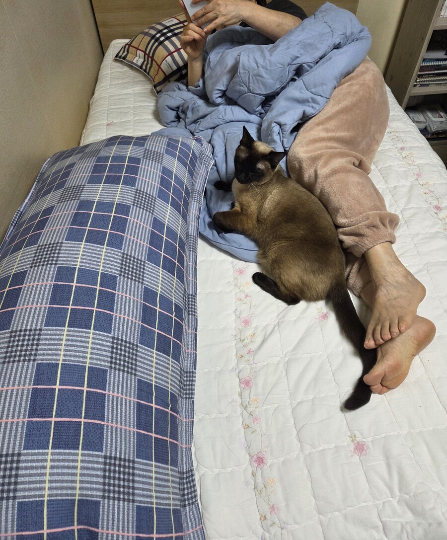 오해하지마 집사! 난 배신하지 않았어~~_5.jpg