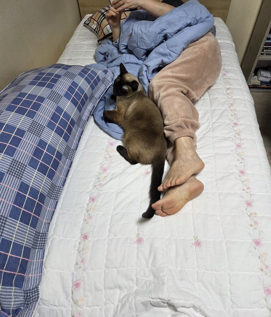 오해하지마 집사! 난 배신하지 않았어~~_6.jpg