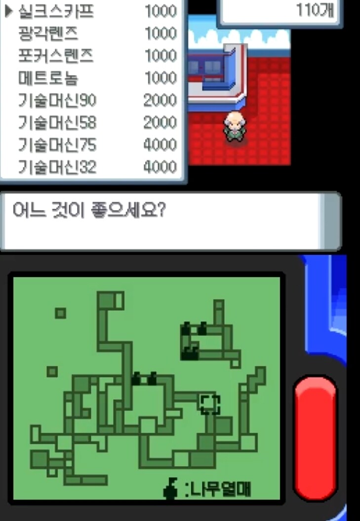 포켓몬DP] 해외판 내수판 차이_2.jpg
