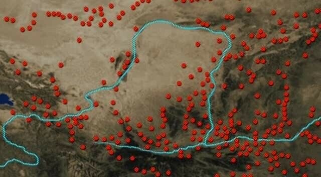 의외로 옛날 중국에서 살았던 동물._3.png