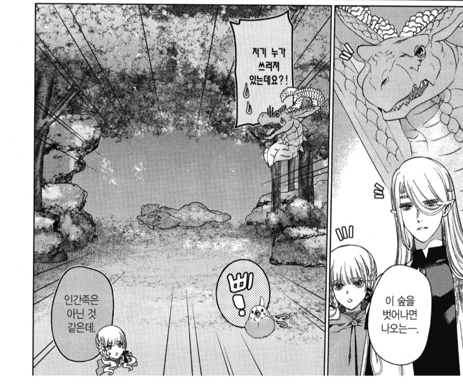 어느 판타지 만화에서 용사의 취급_1.png