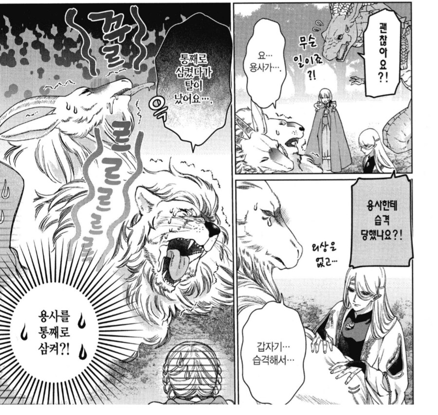 어느 판타지 만화에서 용사의 취급_2.png