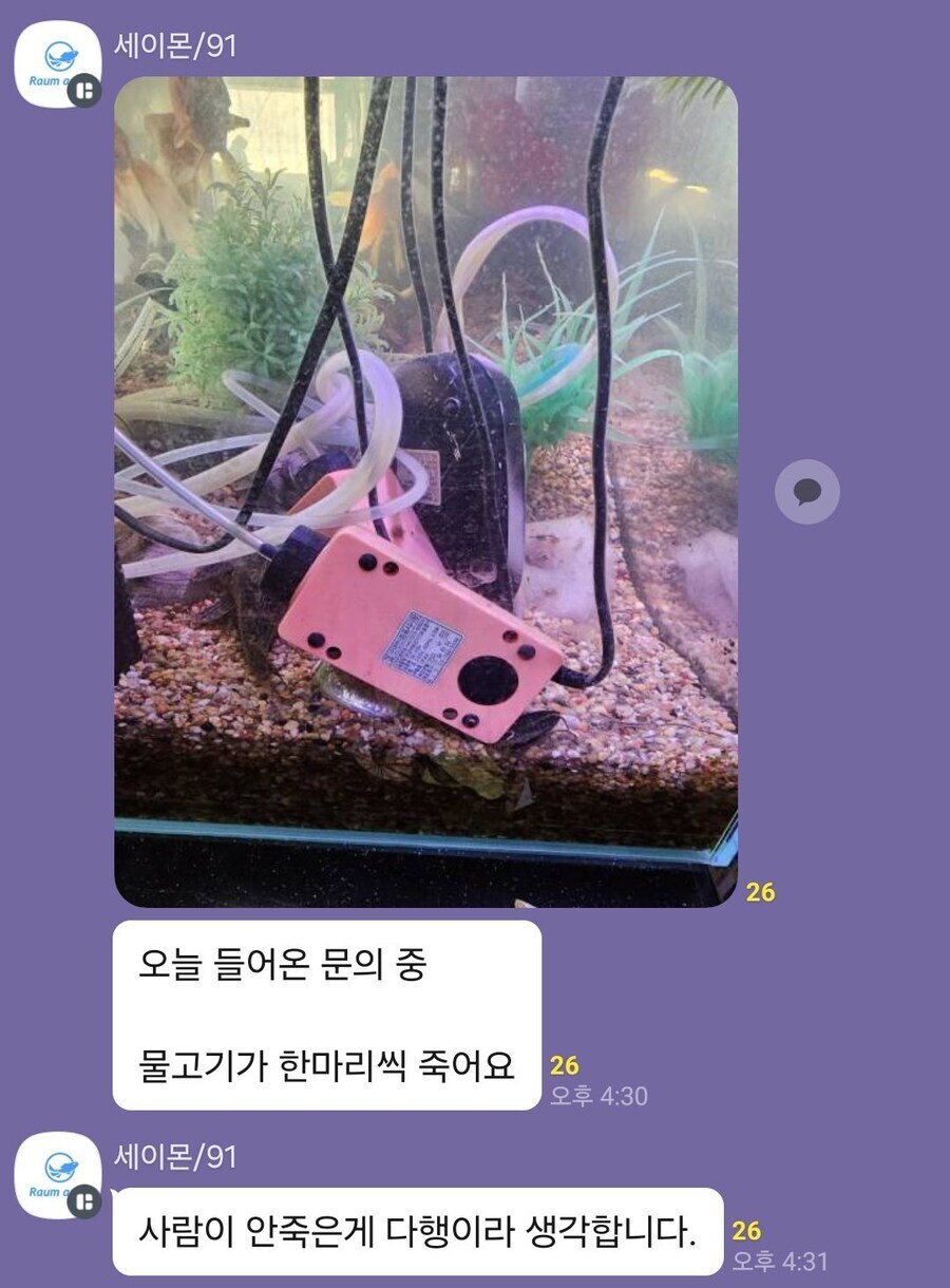 산소공급기 설치후 물고기 한마리씩 죽어요_1.jpg