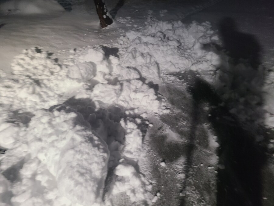 대자연 혹시 ㅁㅊㄴ임?_2.jpg