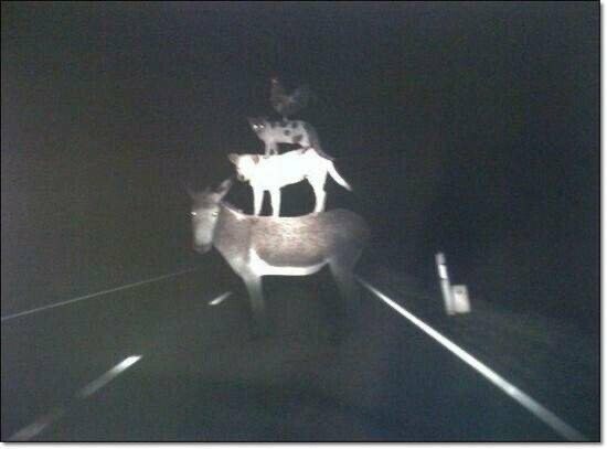 유게하는 애들이 모르는거_1.jpg