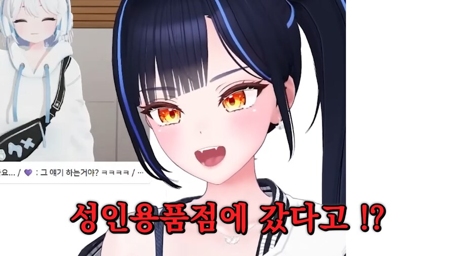 버튜버)아빠랑 성인용품전 간 버튜버_15.png