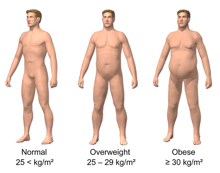 사실 건강한 몸매.jpg_1.jpg