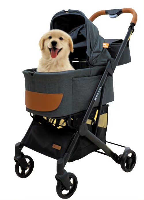 옛날 개 vs 요즘 개_3.jpg