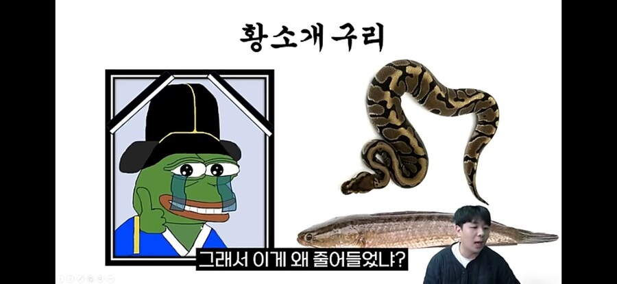 생태계 교란종 황소개구리 근황.jpg_9.jpg