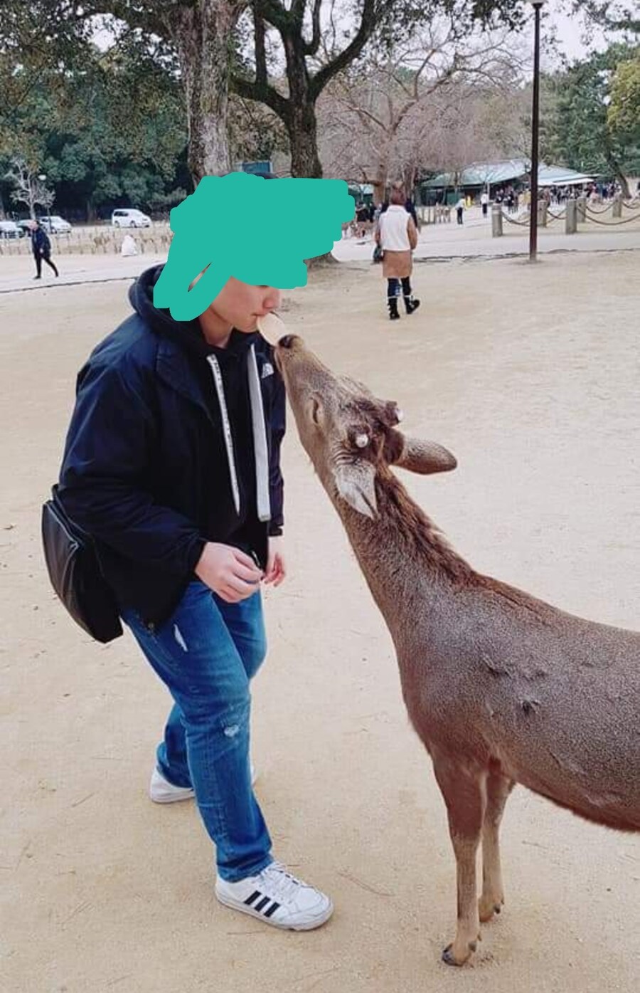 요새 나라 사슴공원 센베 아저씨 글 올라오는데_2.jpg