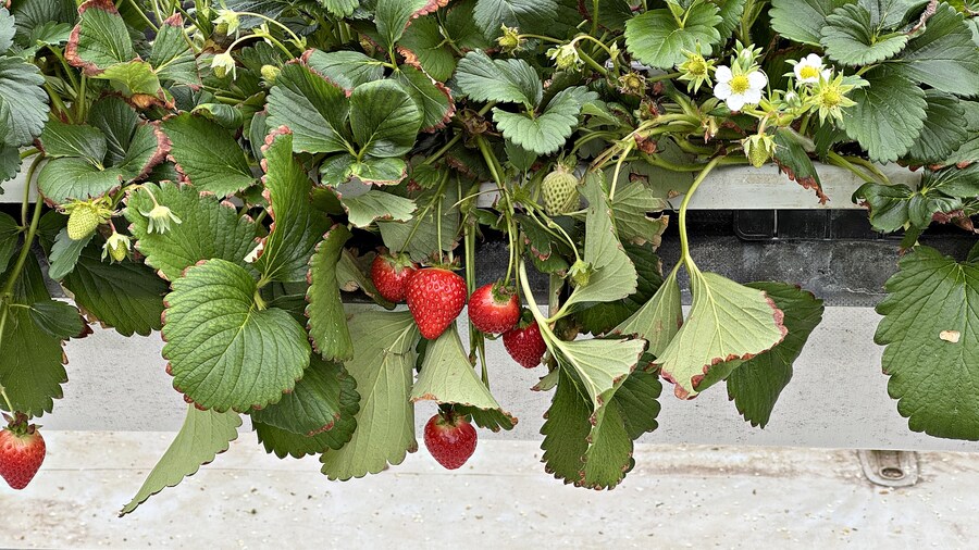 여행 다녀왔습니다 - 전북 전주_26.jpg