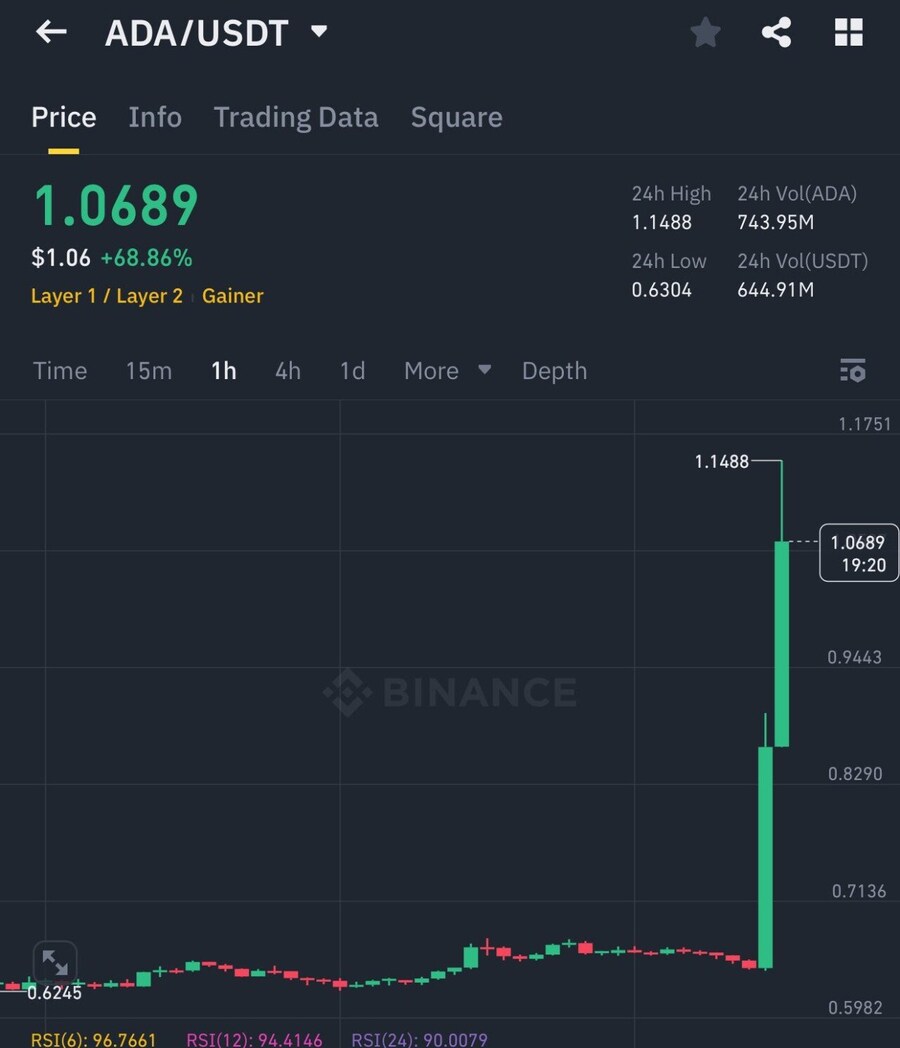 돈놓고돈먹기 사기도박판 코인판 근황