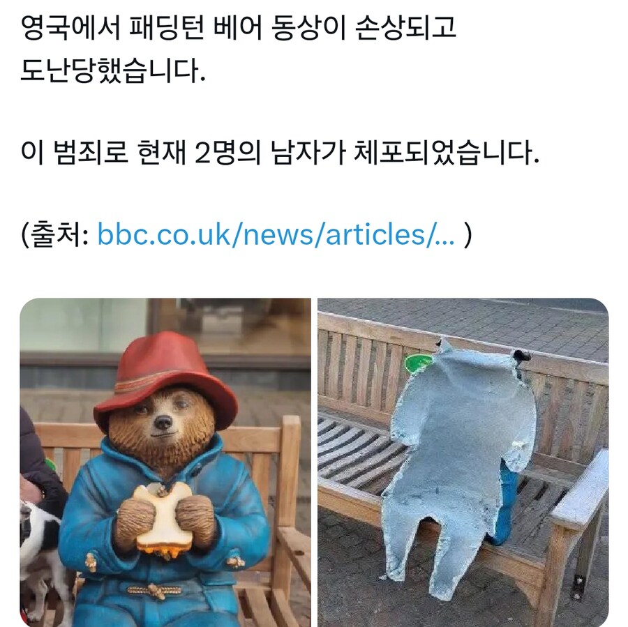영국 곰돌이 패딩턴 근황_1.png