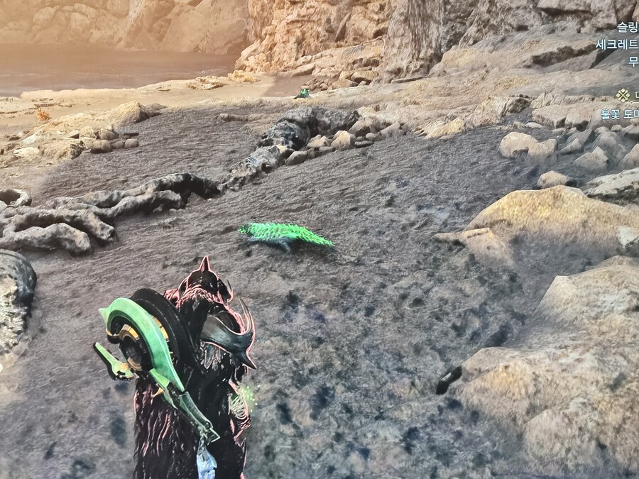 다릴의 연구 보고서 2 불꽃 도마뱀 위치_1.jpg