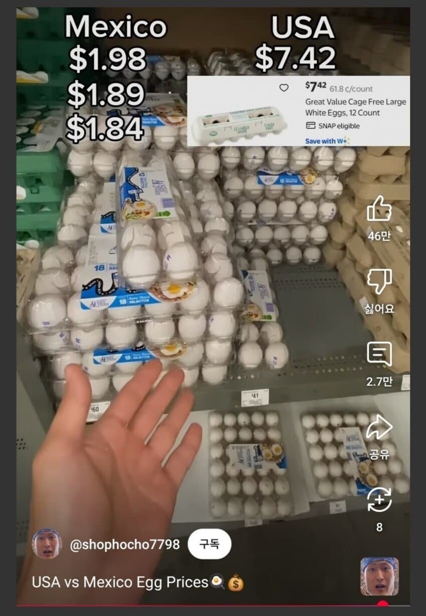 싼 달걀이 널려있는데 미국이 급하게 들여오질 못하는 이유_1.jpg