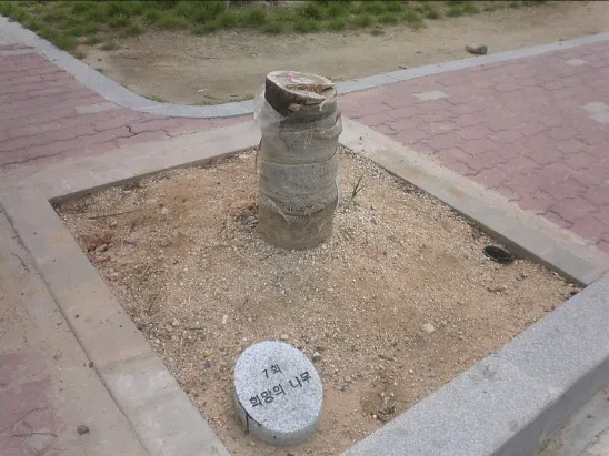 모교 자랑타임임?_1.webp