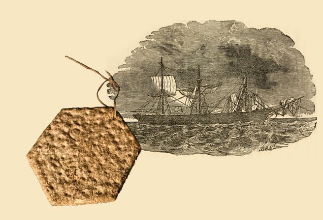 미국이 달걀 때문에 ㅈ된이유_2.jpg