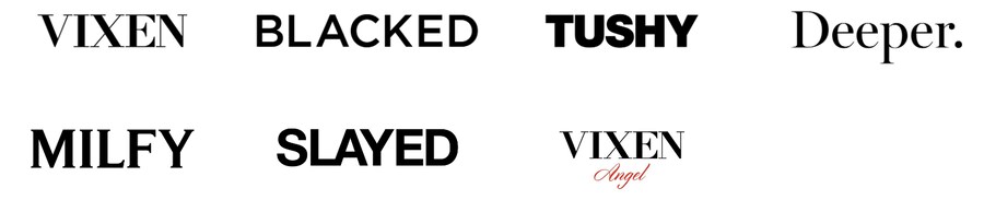 꼴잘알이 만든거같은 서양 성인물 회사_2.png