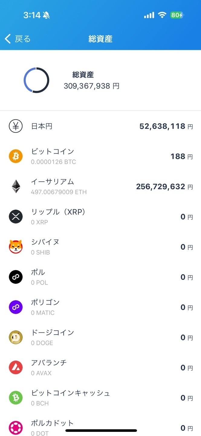 30억 9천 모았다⋯ 진짜 거짓말 같다⋯.jpg_1.jpg