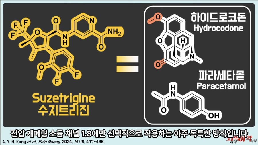 20년만에 새로 나온 진통제가 주목받는 이유_9.jpg