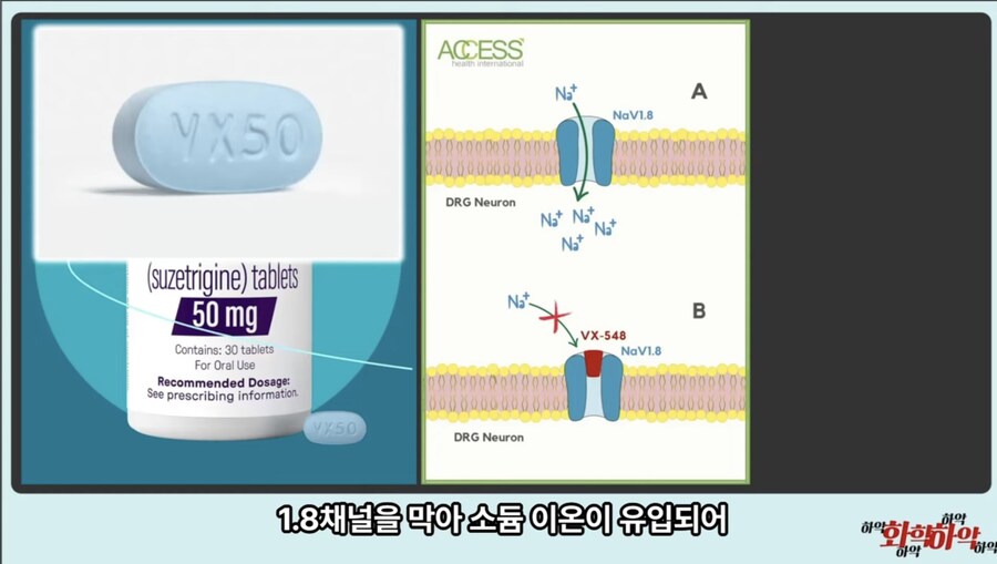 20년만에 새로 나온 진통제가 주목받는 이유_12.jpg