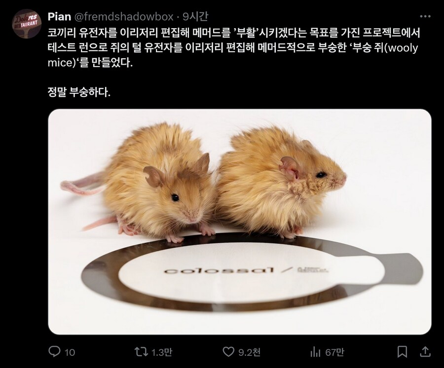 매머드 부활 프로젝트의 부산물_1.png