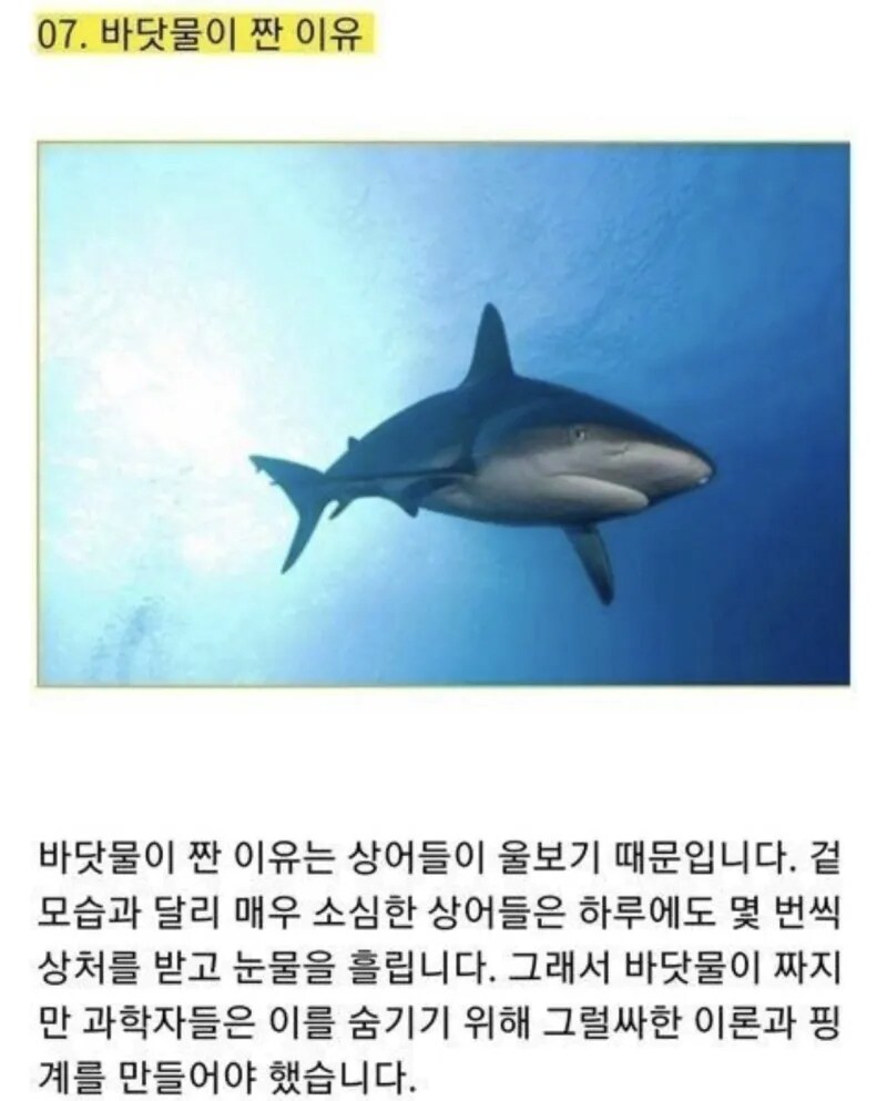 바닷물이 짠 이유.jpg_1.png