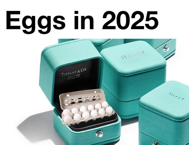 계란 파동 겪은 미국인들 반응.jpg_1.jpg