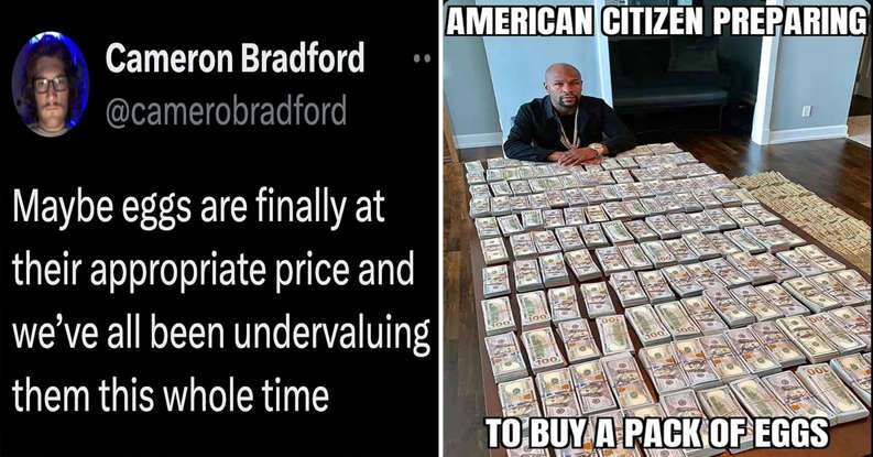 계란 파동 겪은 미국인들 반응.jpg_2.jpg