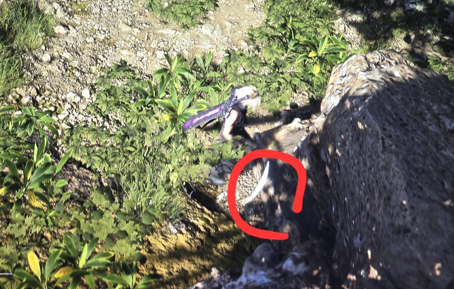 필드 다닐 때 반달모양 나오는것 버그인가요?_2.jpg