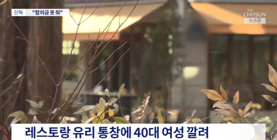 유명 요리사 레스토랑 통창에 깔려 전치 4주…"합의금 못 줘"_2.jpg