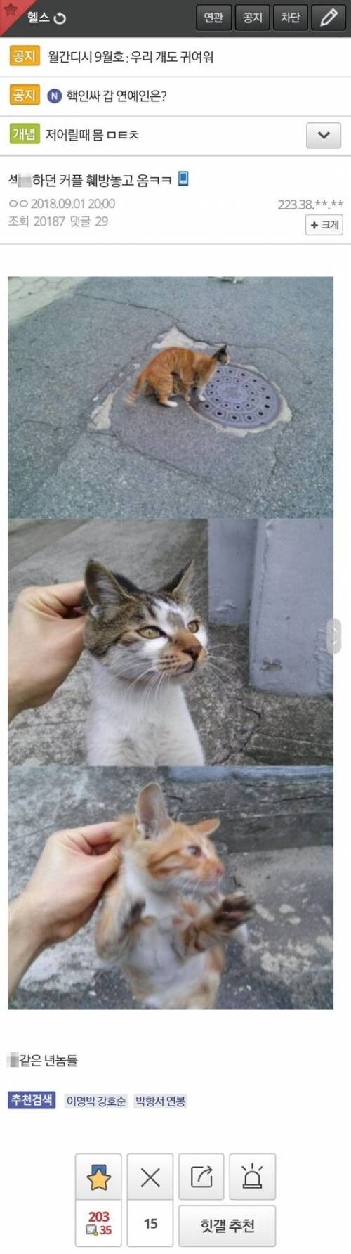 뗶뜨 훼방놓은 헬갤러.jpg_1.jpg