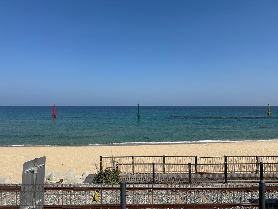 (스압) 강릉에서 1박2일동안 돼지파티하고 왔습니다._16.jpg