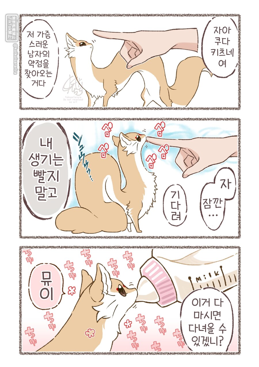 쿠다키츠네(대롱 여우)와 쿠다키츠네 술사.manhwa_4.png