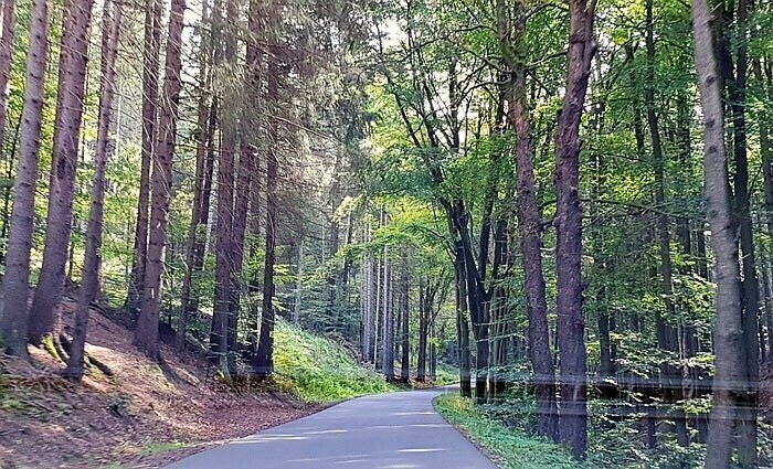 최근 게임때문에 갑자기 방문객이 늘어나고 있다는 시골 깡촌_4.jpg